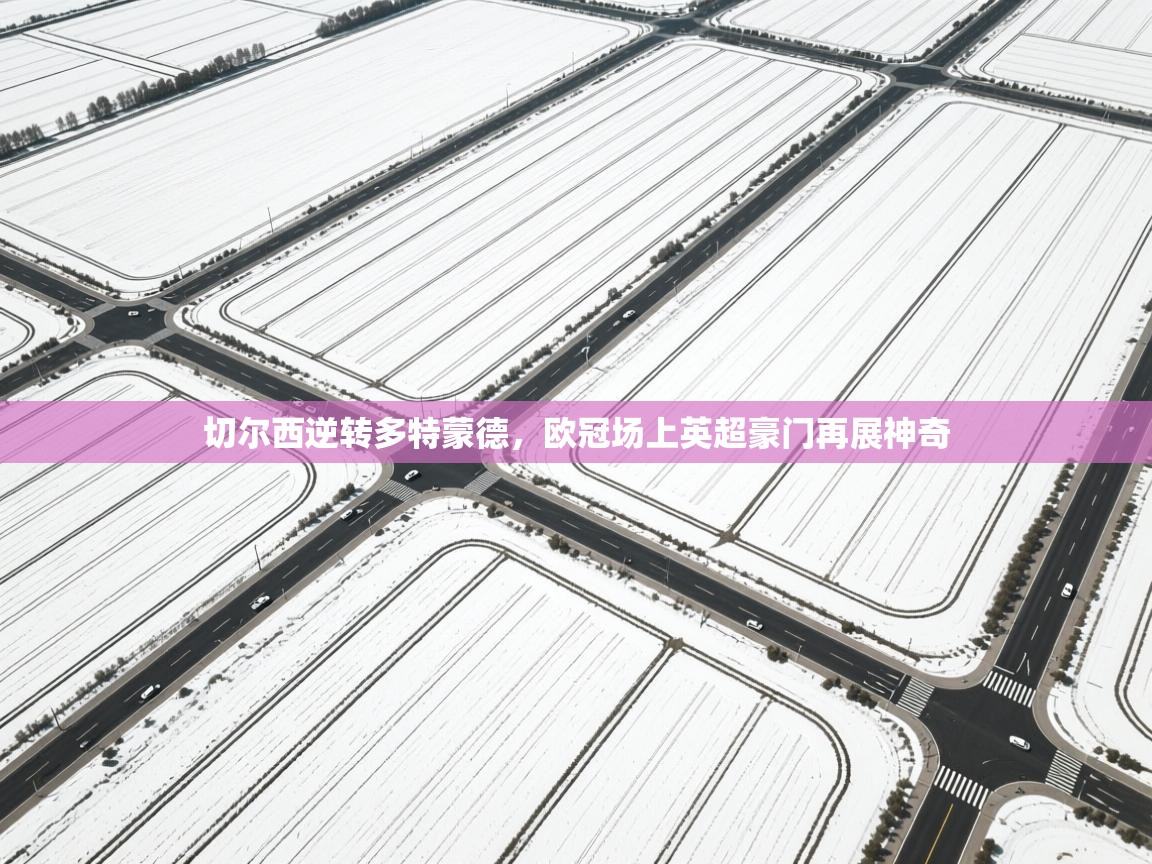 切尔西逆转多特蒙德，欧冠场上英超豪门再展神奇  第2张